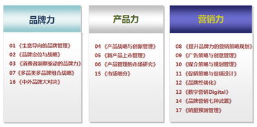 品牌管理的核心與實踐 賦能企業市場部的內訓指南